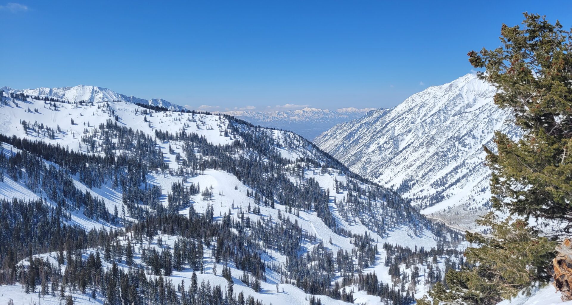 View of Little Cottonwood Canyon from Snowbird