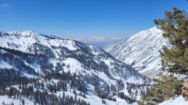 View of Little Cottonwood Canyon from Snowbird