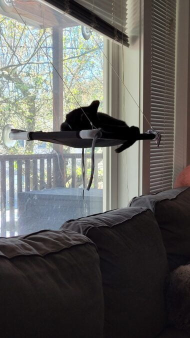 A cat laying on top of a window ledge