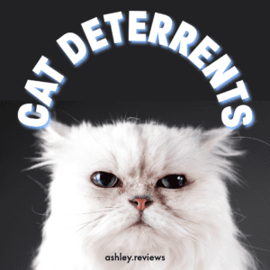 New post for all my cat lovers! I review several different cat deterrents and how well they worked for my cat! Check the link in bio to find out more!⁠
⁠
#cats #catsofinstagram #catsupplies #catlover #instacat #catstagram #newblogpost #bloggingcommunity