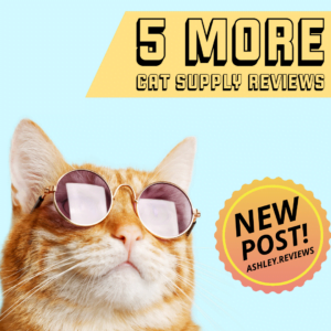 New post just dropped! This time I review even more cat supplies - from cat trees to cat toy storage! Click the link in bio to read all about it!⁠
⁠
#cat #catsupplies #blogpost #productreview #catsofinstagram⁠
#instacat #catstagram #catlover #spoilyourcat