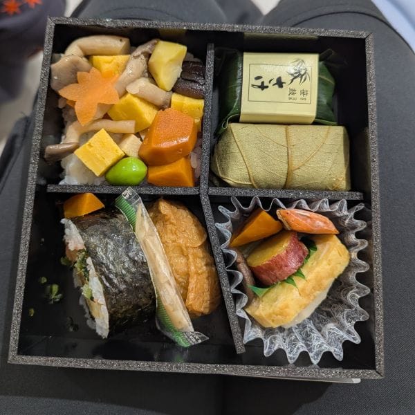 A bento box purchased at a train station in Japan